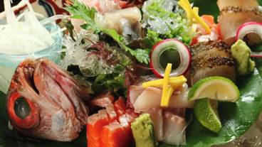 食事・飲み物 / 28