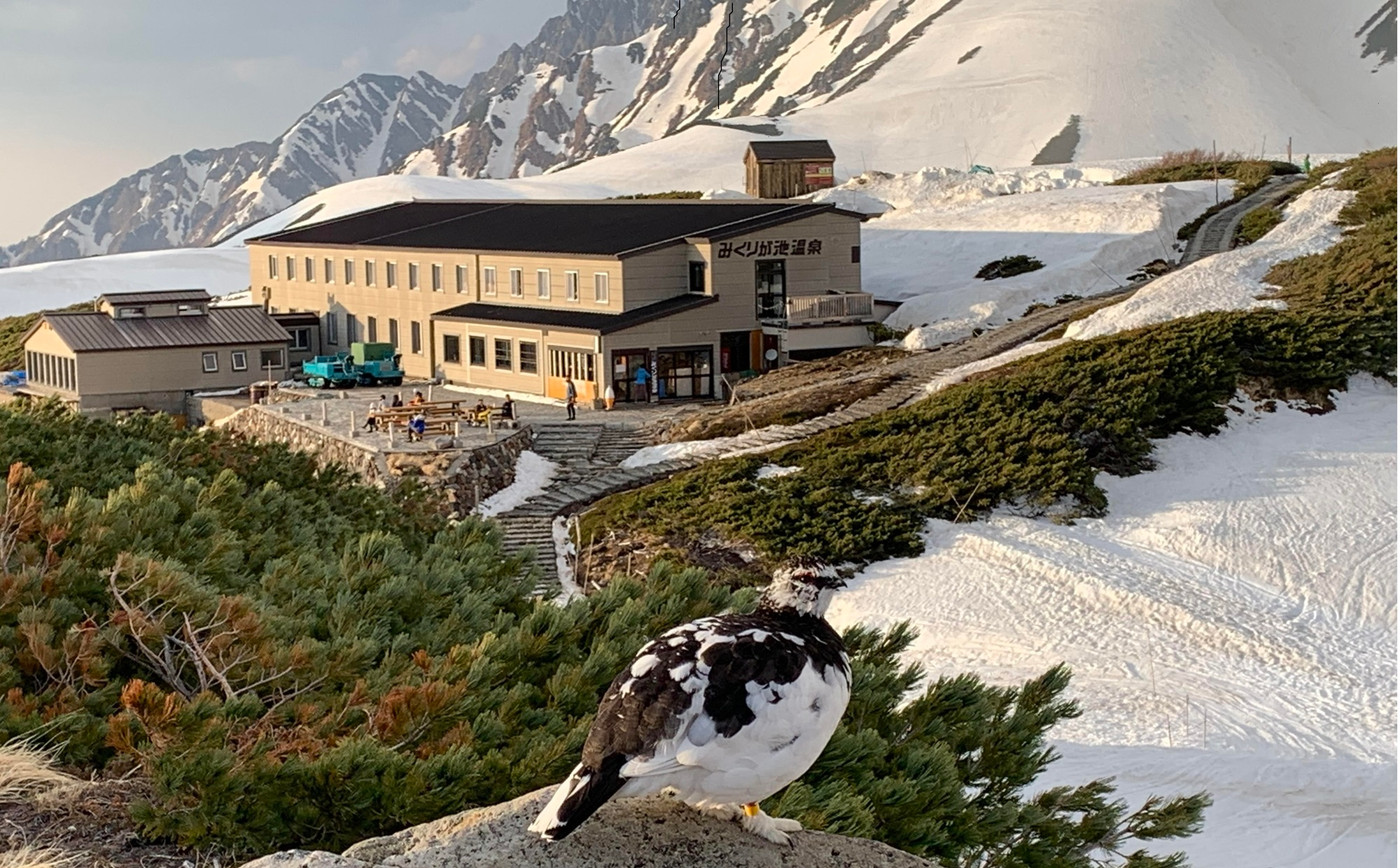 日本随一の高所にある温泉で心も身体も癒やす3354004
