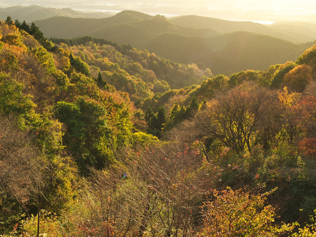 旬のジビエに出会う旅へ4266501