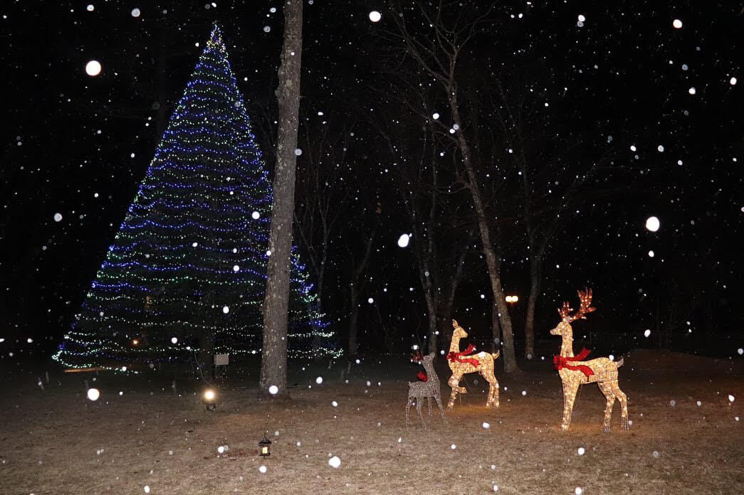 cafedolce25さんの写真 / 1