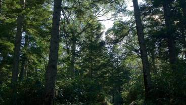 施設の敷地 / 29