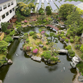 カニやエビ、鯛、アワビなど新鮮魚介をフルコースで3361585