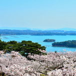 【日本三景】絶景を堪能する観光スポット、宮城の「松島」を満喫