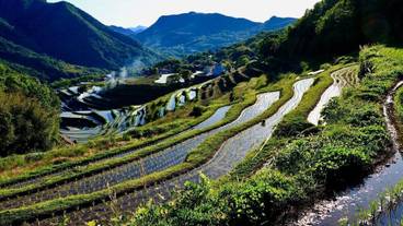 シティ ビュー / 16