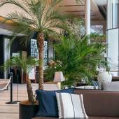 ホテルJALシティ羽田 東京(東京都 ビジネスホテル) / 3