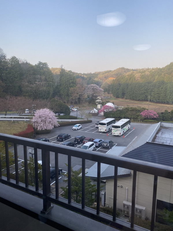 部屋からの眺め