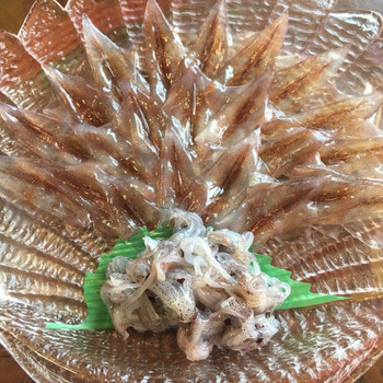 「ほたるいかミュージアム」 料理 64205917 