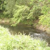 源泉掛け流し露天風呂付全室離れの宿 旅籠 彩くら（大分県 旅館） / 5