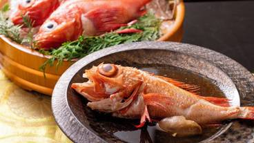 レストラン / 13