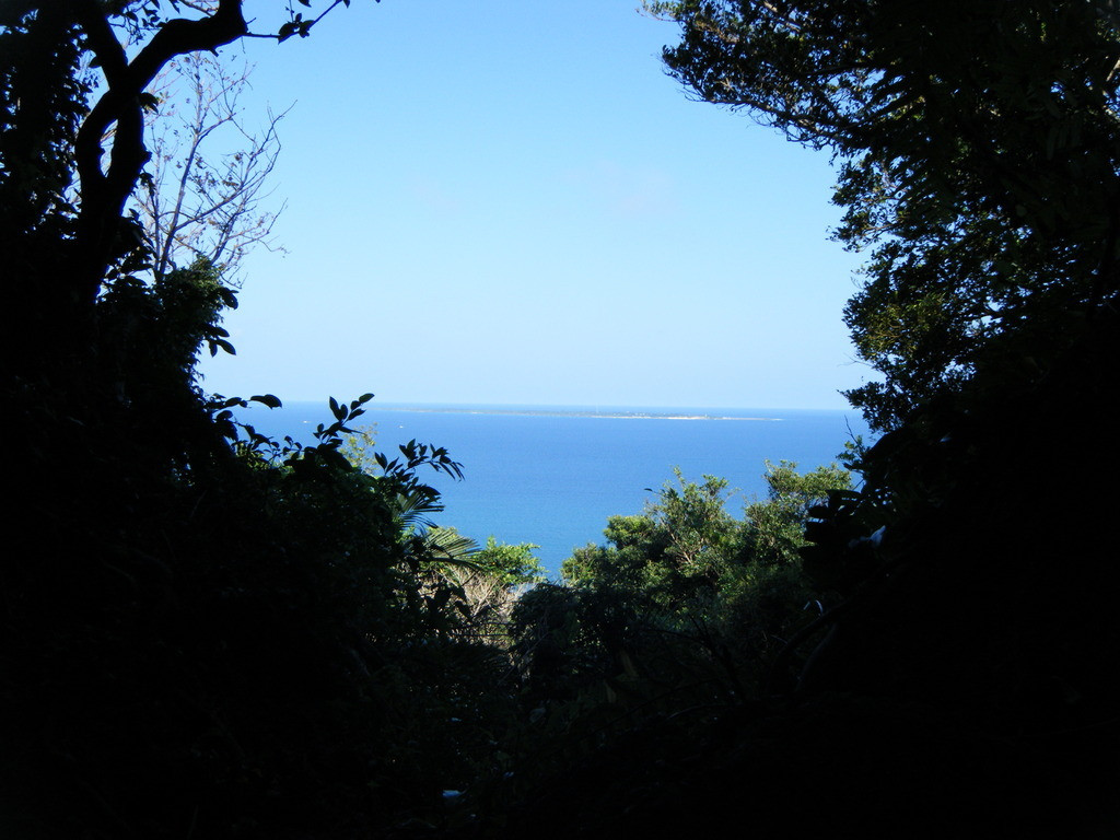 憧れの“沖縄1人旅”にチャレンジ！4063728