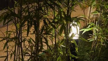 施設の正面 (日没後) / 1