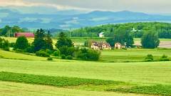 スプウン谷のザワザワ村