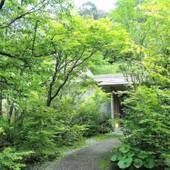 北郷 音色香の季 合歓のはな（宮崎県 旅館） / 2