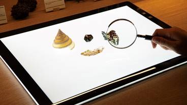 アトリエカフェ 標本の観察 / 7