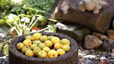 レストラン / 10