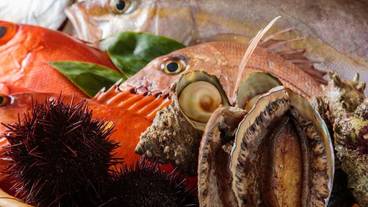 食事・飲み物 / 5