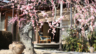 スイート ガーデンビュー 聖山 (禁煙)