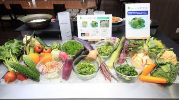 食事・飲み物 / 1