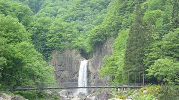 ランド ビュー / 7