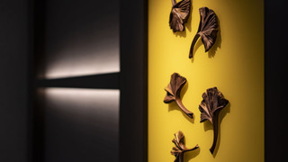 コンフォート ダブルルーム (21.2平方メートル)