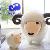 ココテル函館(北海道 ビジネスホテル) / 2