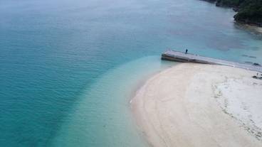 ビーチ / オーシャン ビュー / 9