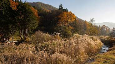 施設の敷地 / 40