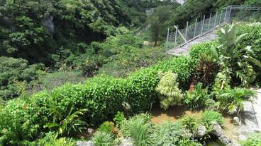 施設からの眺望 / 17