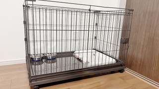 コンドミニアム ダブルベッド2台 (ペット2匹同宿可) 禁煙