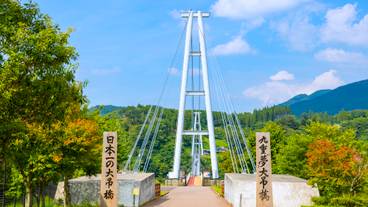 九重“夢”大吊橋 / 6