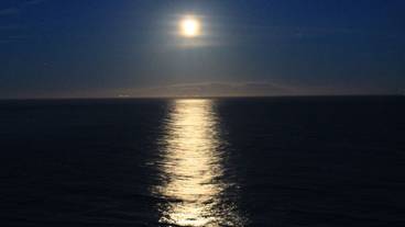 ビーチ / オーシャン ビュー / 39