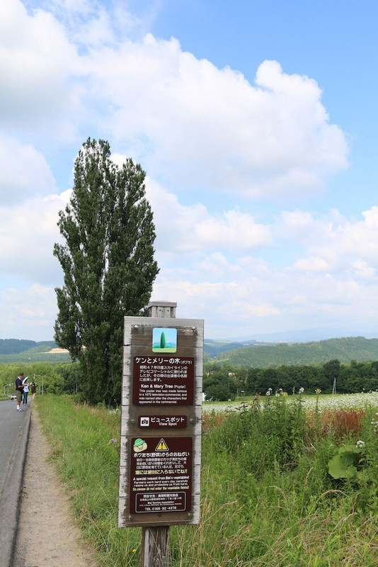 施設からの眺望