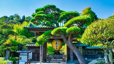 長谷寺 / 5