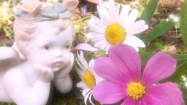 施設の敷地 / 23