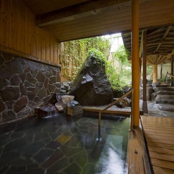 源泉かけ流しの露天風呂付き客室で、のんびり癒しの旅を4261884