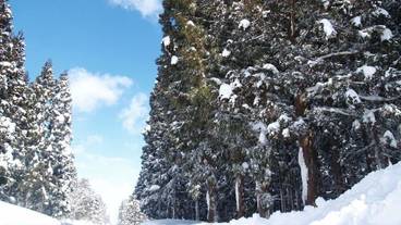 施設からの眺望 / 16