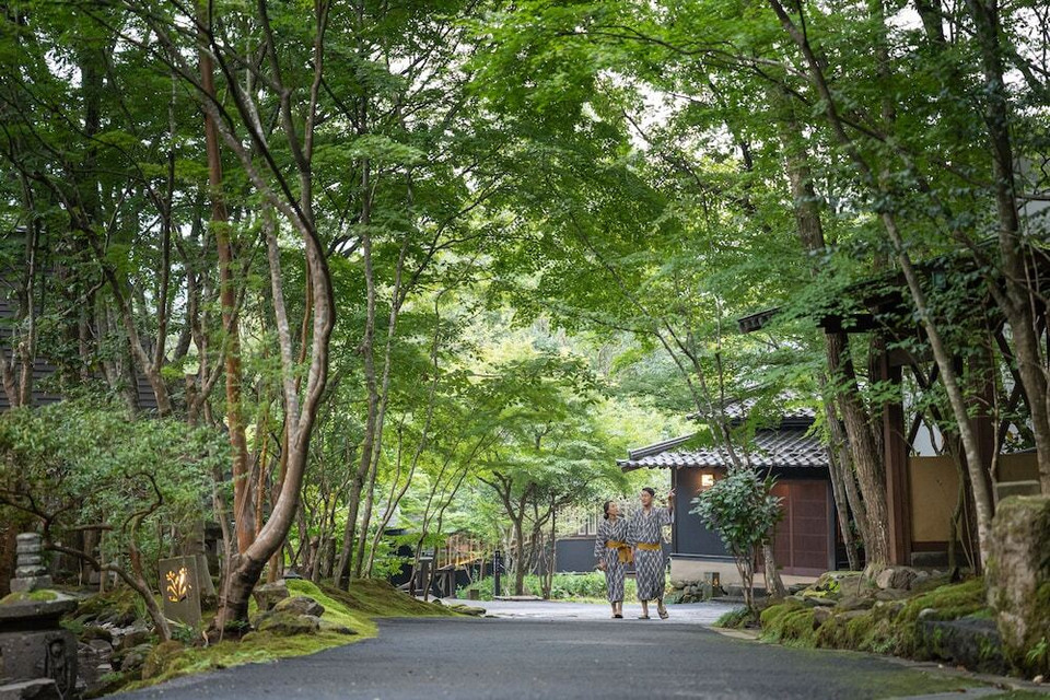 敷地内の小道/春夏