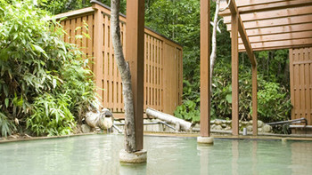 ブナの原生林に包まれた森林浴の露天風呂4251512