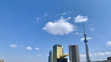 観光スポット / 10