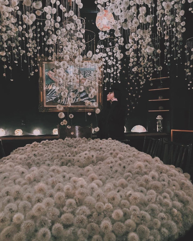 lanavenderさんの写真 / 1