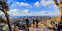 たまにはいつもと違う鎌倉旅を！自然を満喫！天園ハイキングコースと周辺観光のおすすめ
