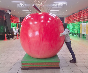 弘前駅前に、リンゴが落ちていました。