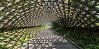 日本の代表的な建築家・安藤忠雄が手がけた建築作品5選