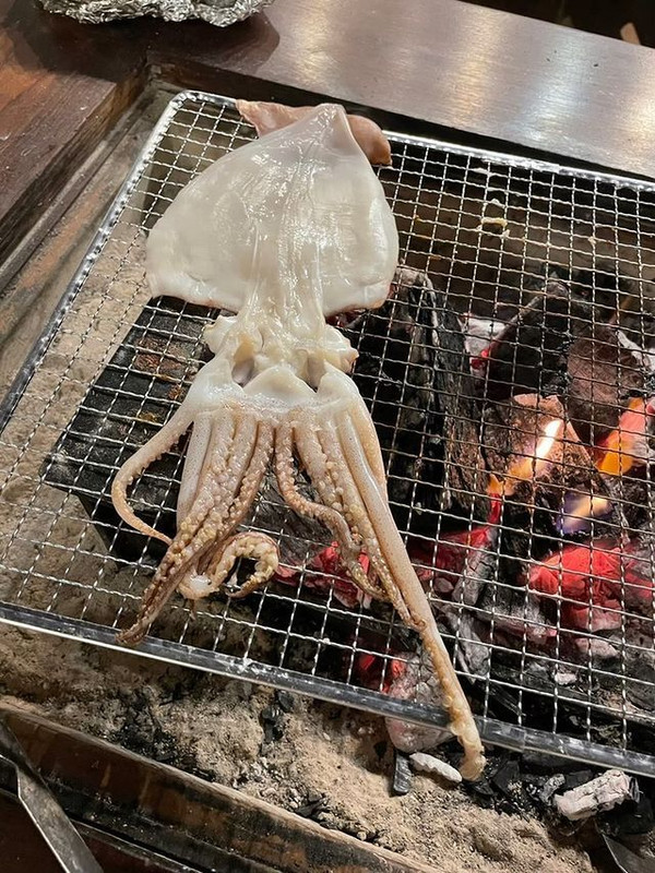 ogamana1205さんの写真 / 2