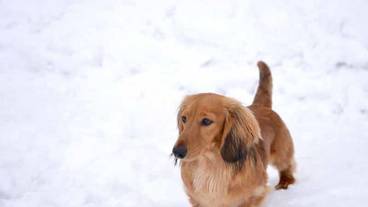 施設の敷地 / 20