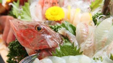 食事・飲み物 / 16