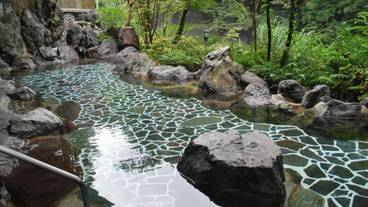 箱根温泉 鶴井の宿 紫雲荘（ハコネオンセン　カクイノヤド　シウンソウ） / 1