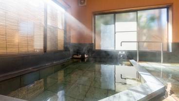 信州しもすわ温泉 ぎん月（シンシュウシモスワオンセン ギンゲツ） / 1