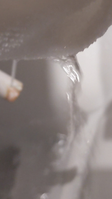 ウォシュレットが！ヤバイよ！