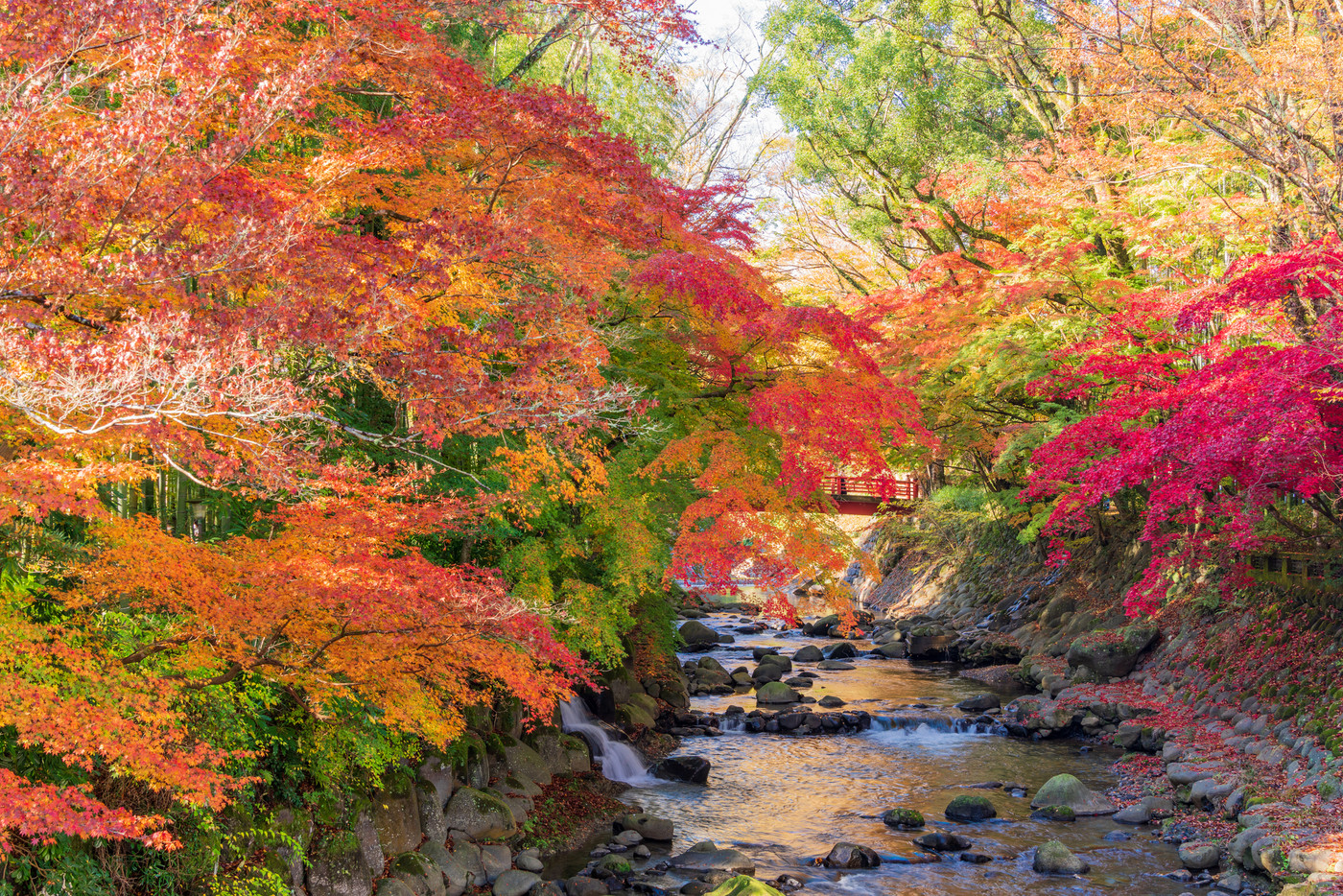 （静岡県）修善寺温泉　桂川の紅葉